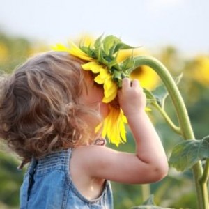 shutterstock_69211996.compressed