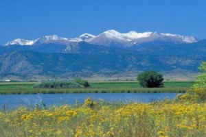 The Lakes at Centerra