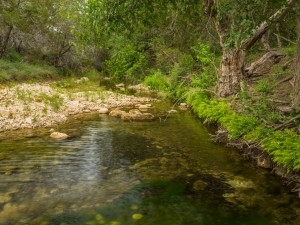 Headwaters, Texas