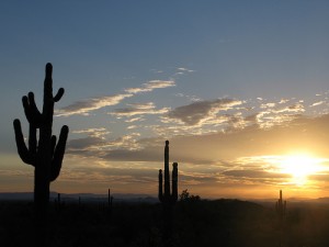 2809253455_584f0f4dff