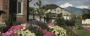 Ivory Ridge.web
