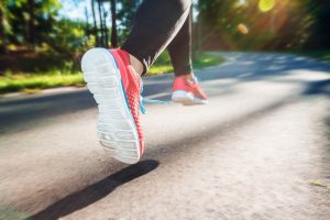 shutterstock_530090950.run